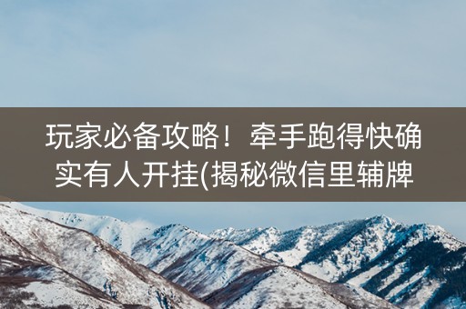 玩家必备攻略！牵手跑得快确实有人开挂(揭秘微信里辅牌器)