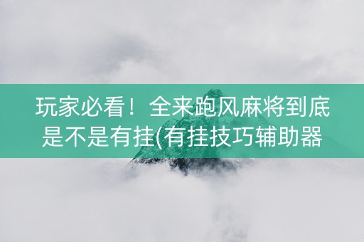 玩家必看！全来跑风麻将到底是不是有挂(有挂技巧辅助器)