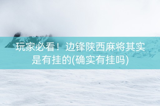 玩家必看！边锋陕西麻将其实是有挂的(确实有挂吗)