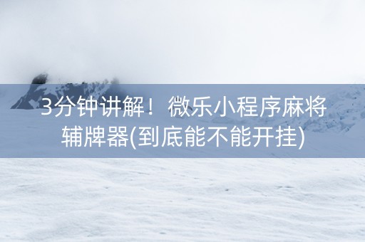 3分钟讲解！微乐小程序麻将辅牌器(到底能不能开挂)