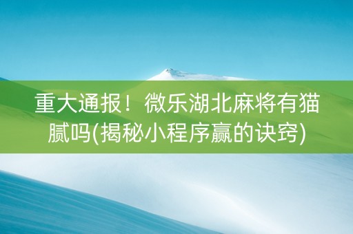 重大通报！微乐湖北麻将有猫腻吗(揭秘小程序赢的诀窍)