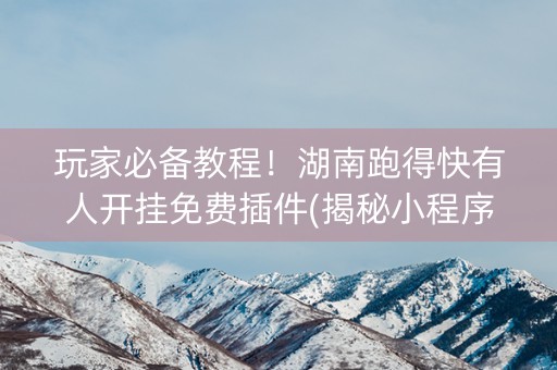 玩家必备教程！湖南跑得快有人开挂免费插件(揭秘小程序助攻神器)