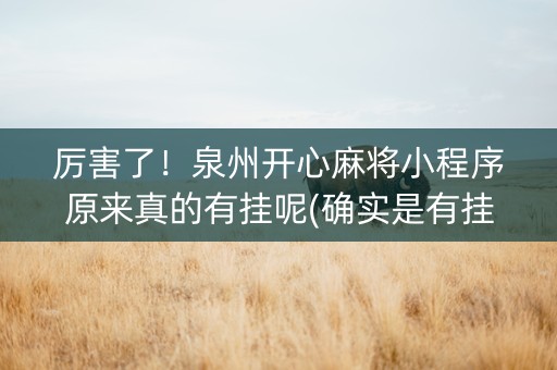厉害了！泉州开心麻将小程序原来真的有挂呢(确实是有挂的)