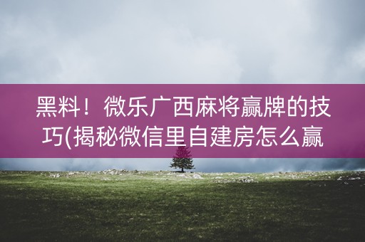 黑料！微乐广西麻将赢牌的技巧(揭秘微信里自建房怎么赢)