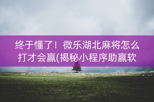 终于懂了！微乐湖北麻将怎么打才会赢(揭秘小程序助赢软件)
