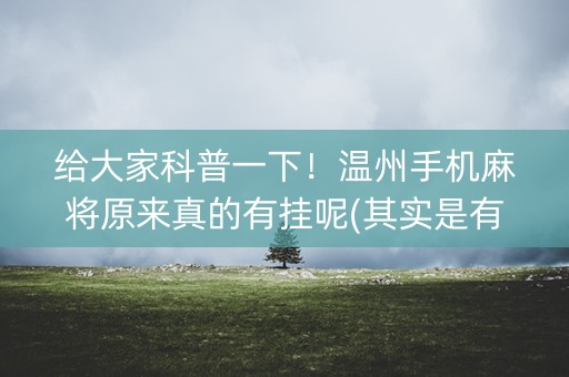给大家科普一下！温州手机麻将原来真的有挂呢(其实是有挂确实有挂)