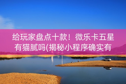 给玩家盘点十款！微乐卡五星有猫腻吗(揭秘小程序确实有猫腻)