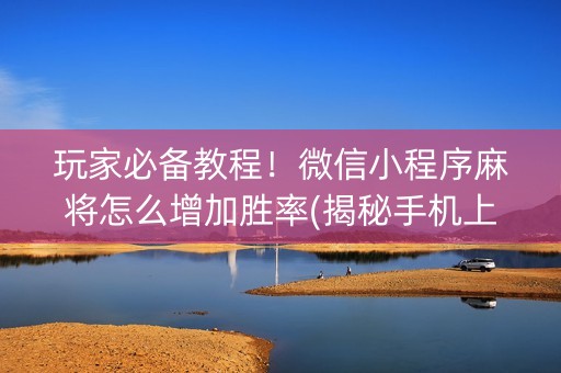 玩家必备教程！微信小程序麻将怎么增加胜率(揭秘手机上辅牌器)