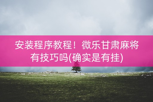 安装程序教程！微乐甘肃麻将有技巧吗(确实是有挂)