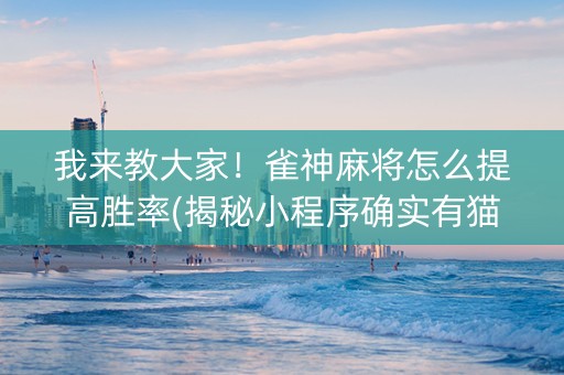 我来教大家！雀神麻将怎么提高胜率(揭秘小程序确实有猫腻)