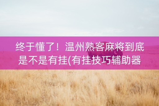终于懂了！温州熟客麻将到底是不是有挂(有挂技巧辅助器)