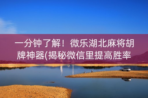 一分钟了解！微乐湖北麻将胡牌神器(揭秘微信里提高胜率)
