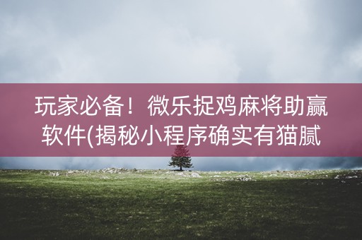 玩家必备！微乐捉鸡麻将助赢软件(揭秘小程序确实有猫腻)
