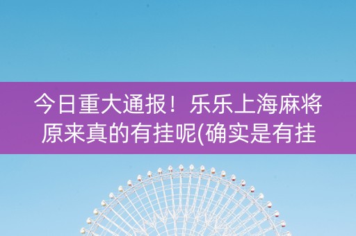今日重大通报！乐乐上海麻将原来真的有挂呢(确实是有挂的)