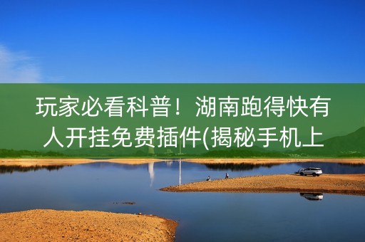 玩家必看科普！湖南跑得快有人开挂免费插件(揭秘手机上辅牌器)