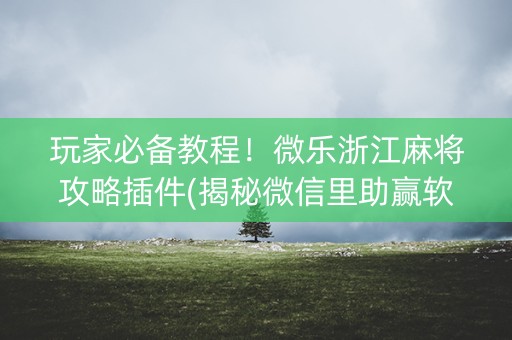 玩家必备教程！微乐浙江麻将攻略插件(揭秘微信里助赢软件)