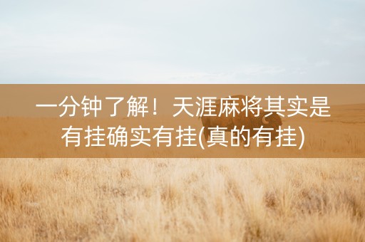 一分钟了解！天涯麻将其实是有挂确实有挂(真的有挂)