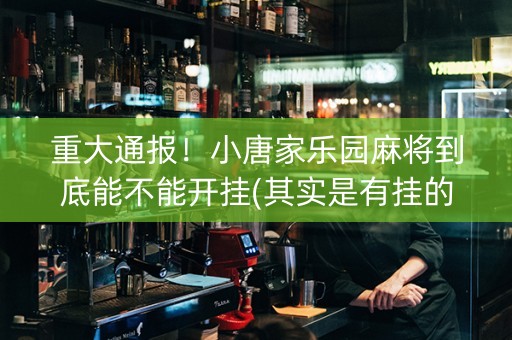 重大通报！小唐家乐园麻将到底能不能开挂(其实是有挂的)