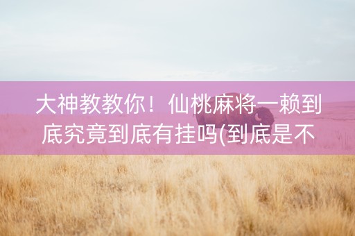 大神教教你！仙桃麻将一赖到底究竟到底有挂吗(到底是不是有挂)