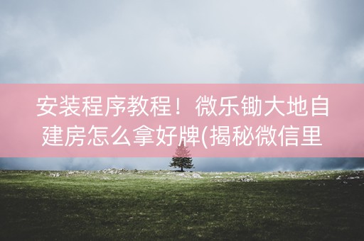 安装程序教程！微乐锄大地自建房怎么拿好牌(揭秘微信里提高胜率)