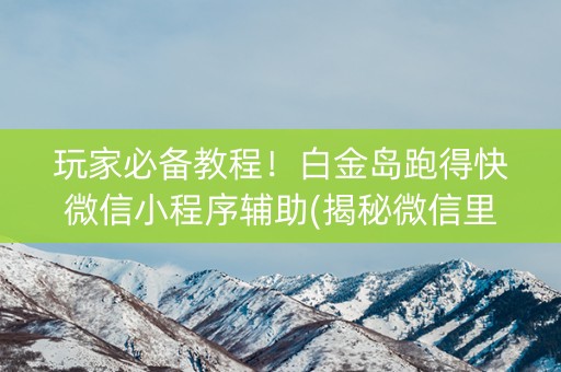 玩家必备教程！白金岛跑得快微信小程序辅助(揭秘微信里提高胜率)