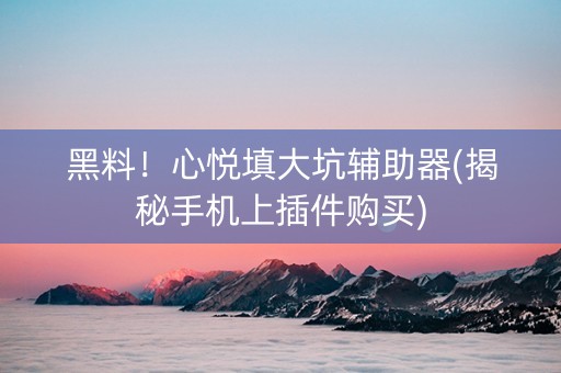 黑料！心悦填大坑辅助器(揭秘手机上插件购买)