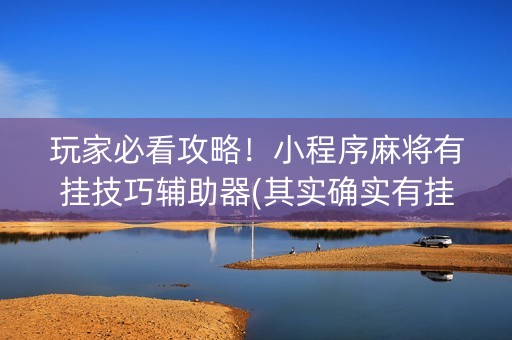 玩家必看攻略！小程序麻将有挂技巧辅助器(其实确实有挂)
