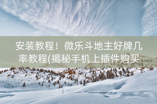 安装教程！微乐斗地主好牌几率教程(揭秘手机上插件购买)