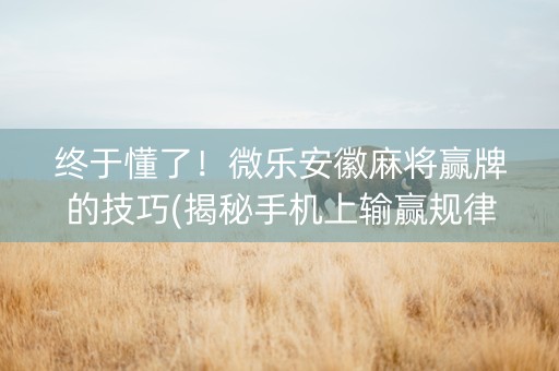 终于懂了！微乐安徽麻将赢牌的技巧(揭秘手机上输赢规律)