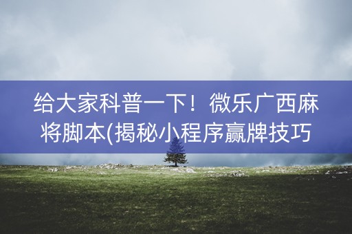 给大家科普一下！微乐广西麻将脚本(揭秘小程序赢牌技巧)