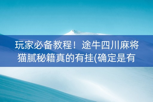 玩家必备教程！途牛四川麻将猫腻秘籍真的有挂(确定是有挂)