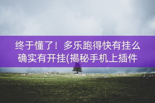 终于懂了！多乐跑得快有挂么确实有开挂(揭秘手机上插件免费)