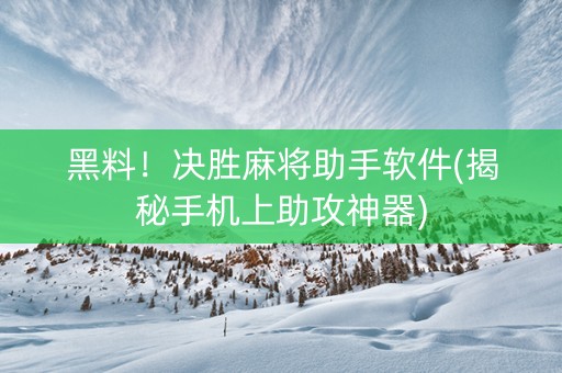 黑料！决胜麻将助手软件(揭秘手机上助攻神器)