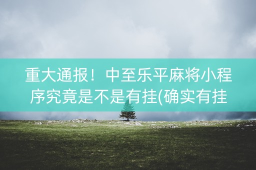重大通报！中至乐平麻将小程序究竟是不是有挂(确实有挂吗)