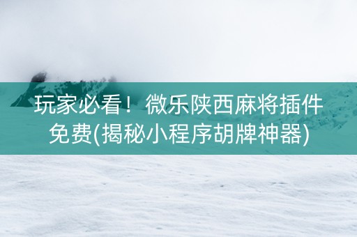 玩家必看！微乐陕西麻将插件免费(揭秘小程序胡牌神器)