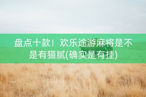 盘点十款！欢乐途游麻将是不是有猫腻(确实是有挂)