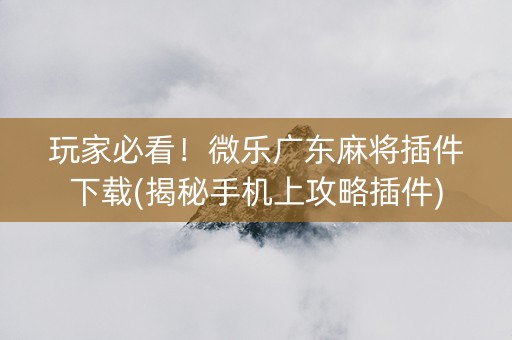 玩家必看！微乐广东麻将插件下载(揭秘手机上攻略插件)