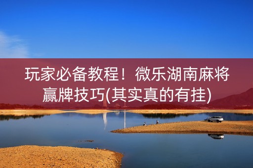 玩家必备教程！微乐湖南麻将赢牌技巧(其实真的有挂)