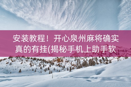 安装教程！开心泉州麻将确实真的有挂(揭秘手机上助手软件)