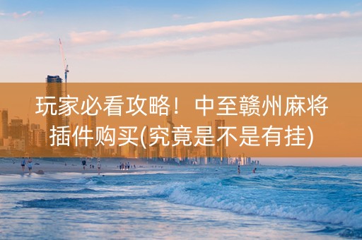 玩家必看攻略！中至赣州麻将插件购买(究竟是不是有挂)