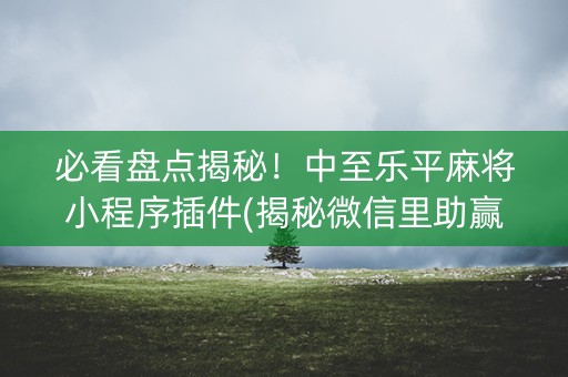 必看盘点揭秘！中至乐平麻将小程序插件(揭秘微信里助赢神器购买)