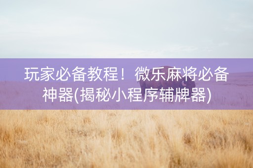 玩家必备教程！微乐麻将必备神器(揭秘小程序辅牌器)