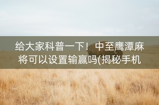 给大家科普一下！中至鹰潭麻将可以设置输赢吗(揭秘手机上插件下载)