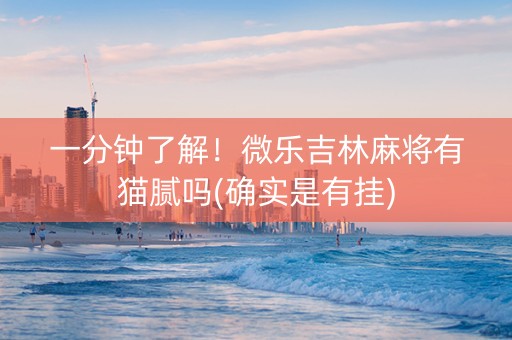 一分钟了解！微乐吉林麻将有猫腻吗(确实是有挂)