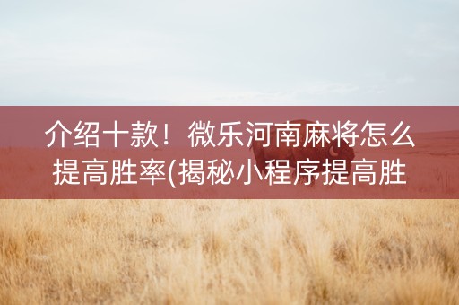 介绍十款！微乐河南麻将怎么提高胜率(揭秘小程序提高胜率)