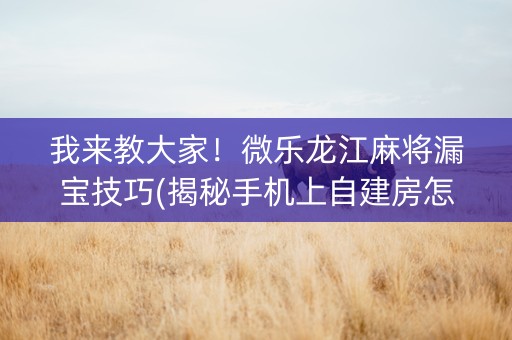 我来教大家！微乐龙江麻将漏宝技巧(揭秘手机上自建房怎么赢)