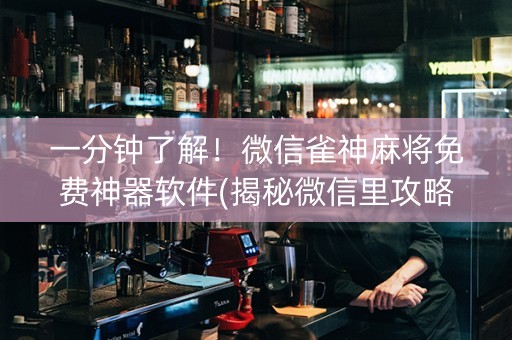 一分钟了解！微信雀神麻将免费神器软件(揭秘微信里攻略插件)