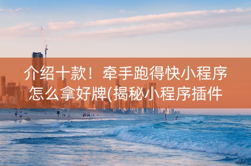介绍十款！牵手跑得快小程序怎么拿好牌(揭秘小程序插件免费)
