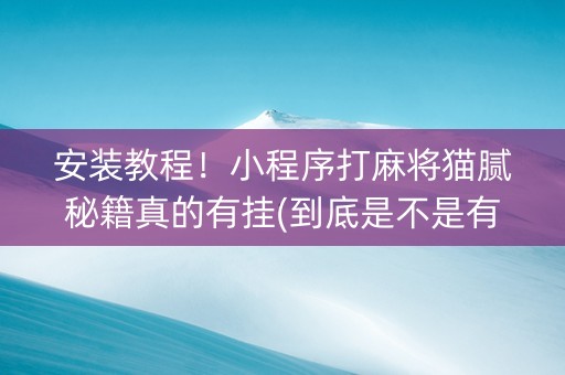 安装教程！小程序打麻将猫腻秘籍真的有挂(到底是不是有挂)