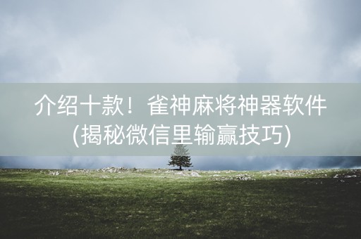 介绍十款！雀神麻将神器软件(揭秘微信里输赢技巧)